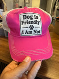 Dog is Friendly Trucker Hat
