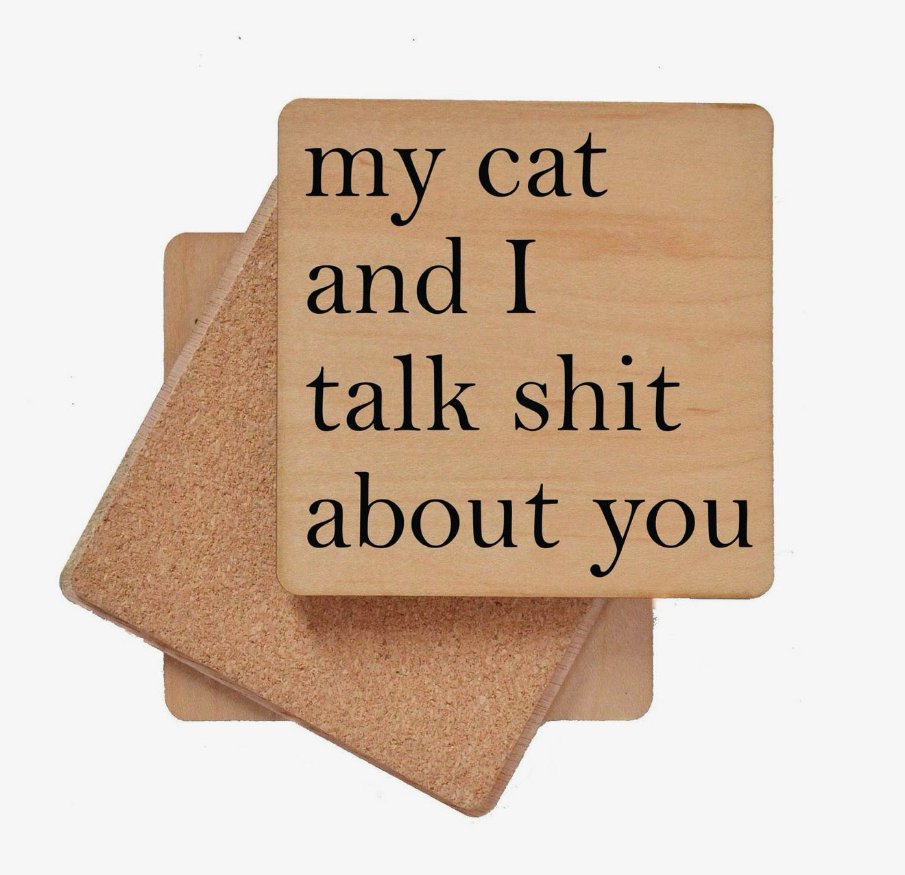 My Cat and I Talk Shit Coaster
