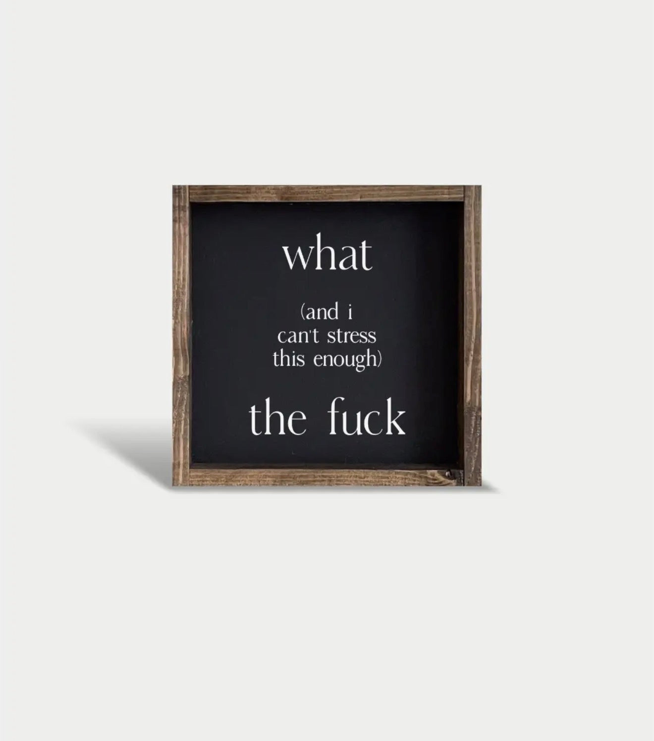 What and I can’t express this enough Framed sign