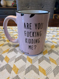 Are You Fucking Kidding Me Mug