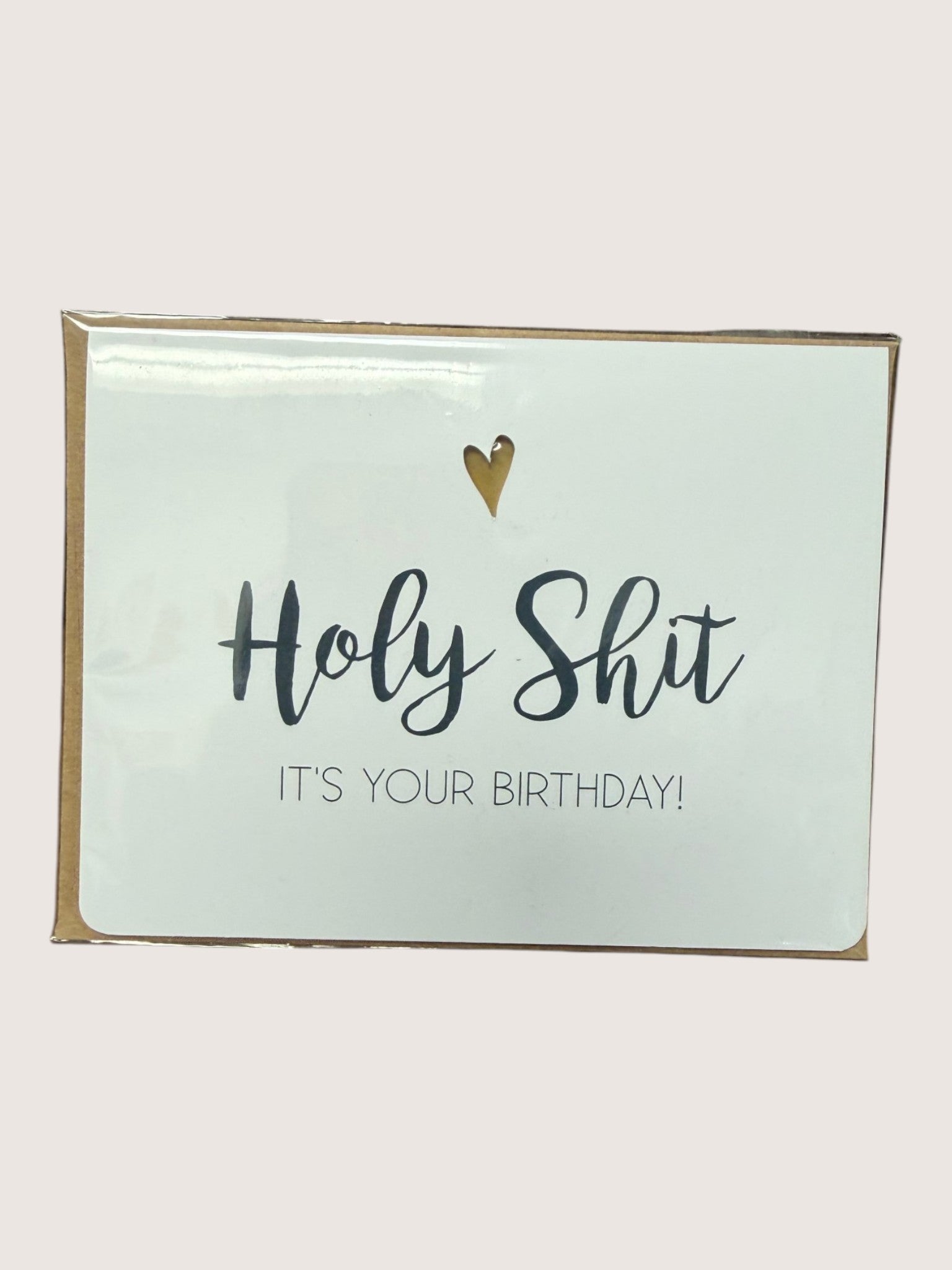 Birthday card with text 'Holy Shit, It's Your Birthday!' on a light green background