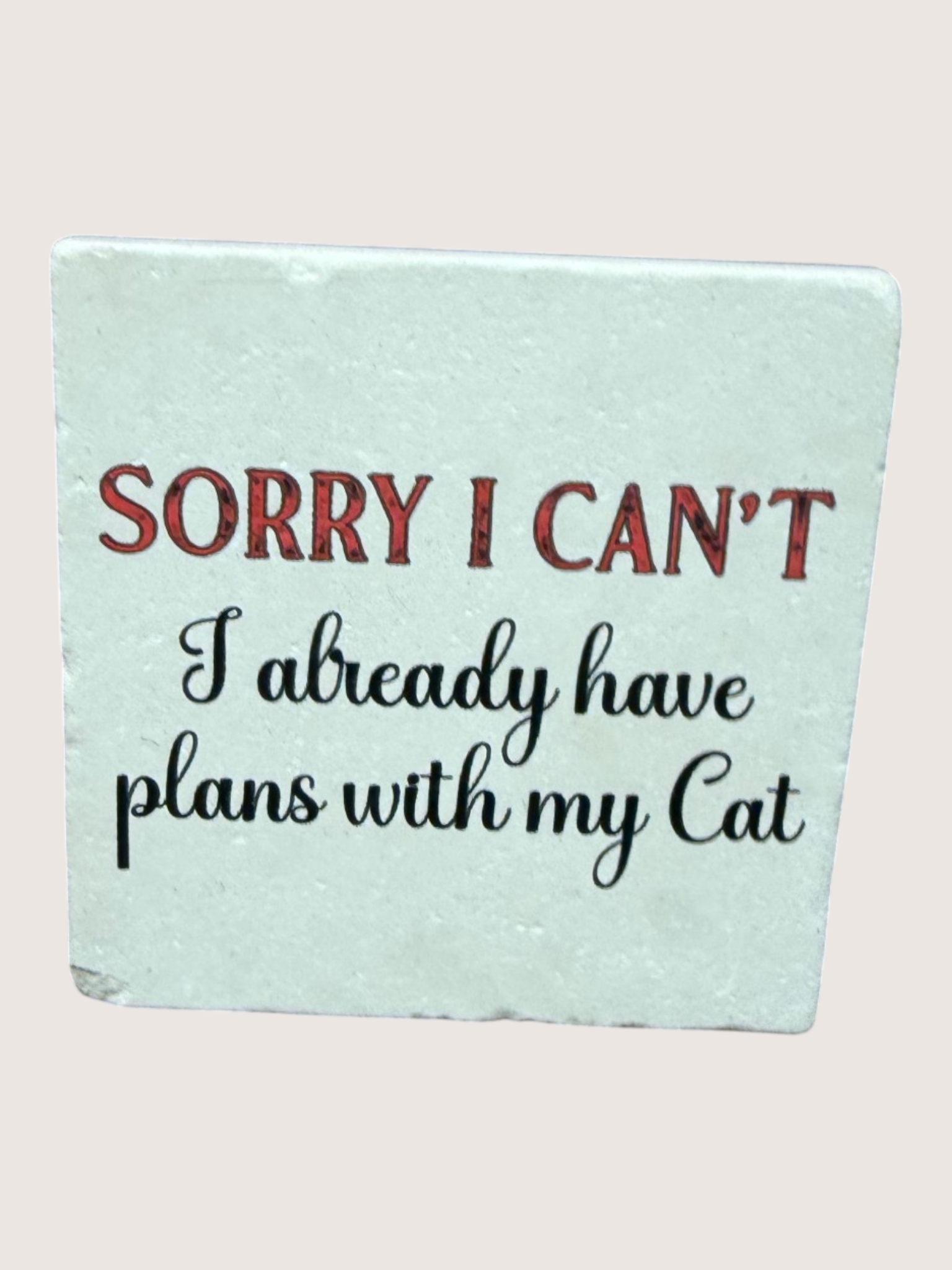 coaster with text 'Sorry I Can't, I already have plans with my cat' on a light blue background