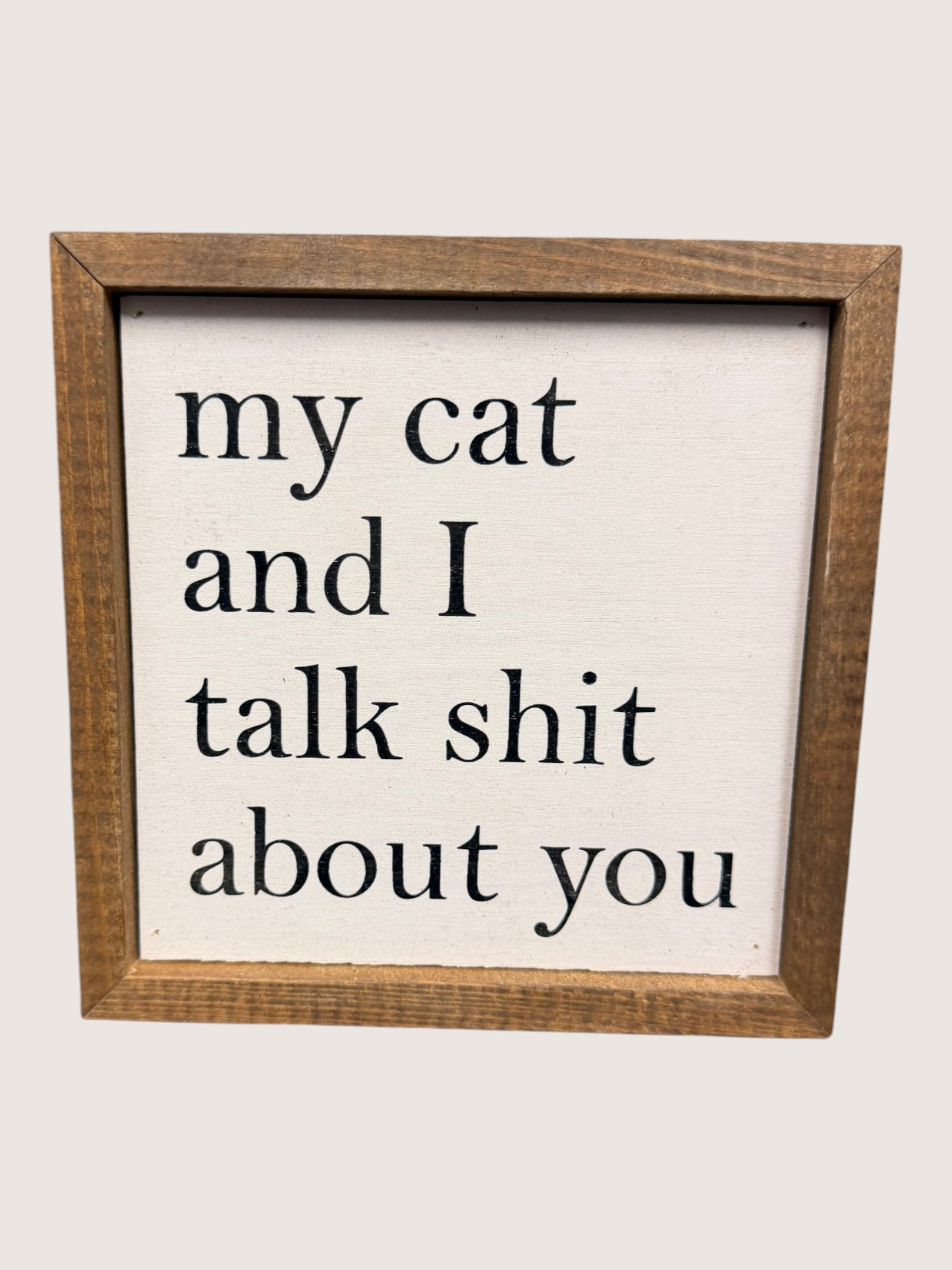 Wooden-framed sign with text 'my cat and I talk shit about you' on a white background